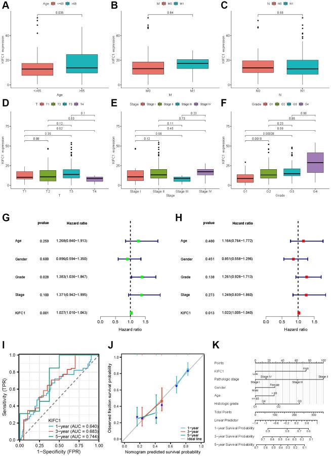 https://cdn.ncbi.nlm.nih.gov/pmc/blobs/2cc2/10781448/bfb07cd2eff6/aging-15-205311-g007.jpg