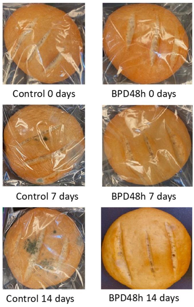 https://cdn.ncbi.nlm.nih.gov/pmc/blobs/2cc2/9774549/541f9278e728/antibiotics-11-01813-g006.jpg