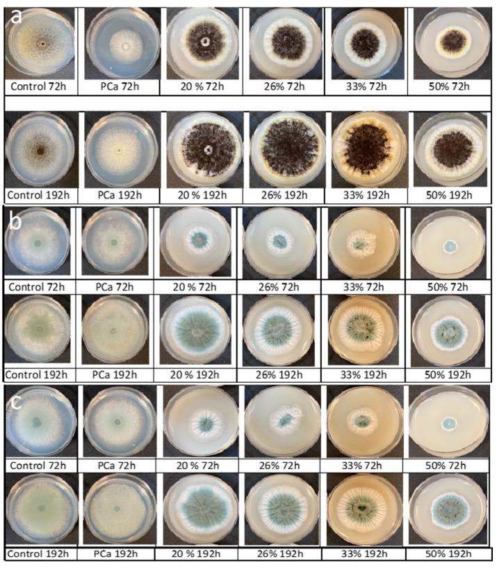 https://cdn.ncbi.nlm.nih.gov/pmc/blobs/2cc2/9774549/55b16b100af3/antibiotics-11-01813-g005.jpg