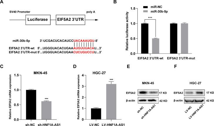 https://cdn.ncbi.nlm.nih.gov/pmc/blobs/2cc4/8802127/b468f6eaf59f/gr4.jpg
