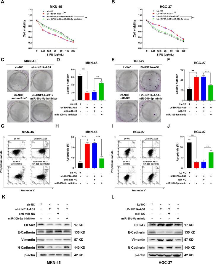 https://cdn.ncbi.nlm.nih.gov/pmc/blobs/2cc4/8802127/c7fd23a63940/gr5.jpg