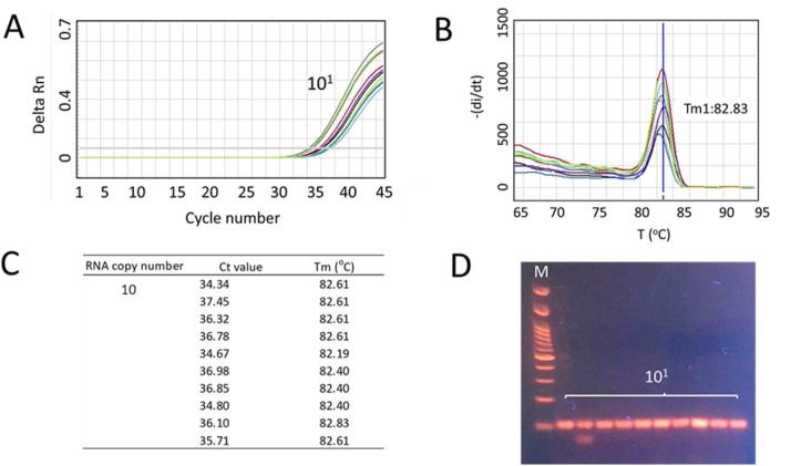 https://cdn.ncbi.nlm.nih.gov/pmc/blobs/2cc5/9636443/252e65308135/gr5.jpg