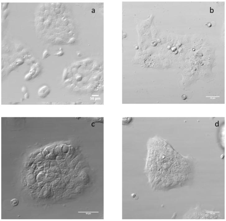 https://cdn.ncbi.nlm.nih.gov/pmc/blobs/2cc6/5388158/6d0023c647af/nanomaterials-07-00056-g004.jpg