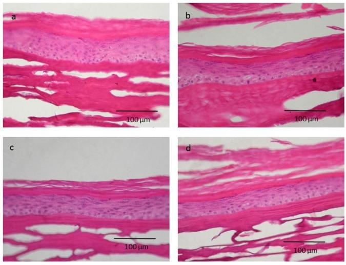 https://cdn.ncbi.nlm.nih.gov/pmc/blobs/2cc6/5388158/bc1c219c0186/nanomaterials-07-00056-g005.jpg