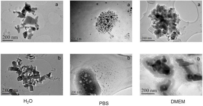 https://cdn.ncbi.nlm.nih.gov/pmc/blobs/2cc6/5388158/d819eb03f307/nanomaterials-07-00056-g001.jpg