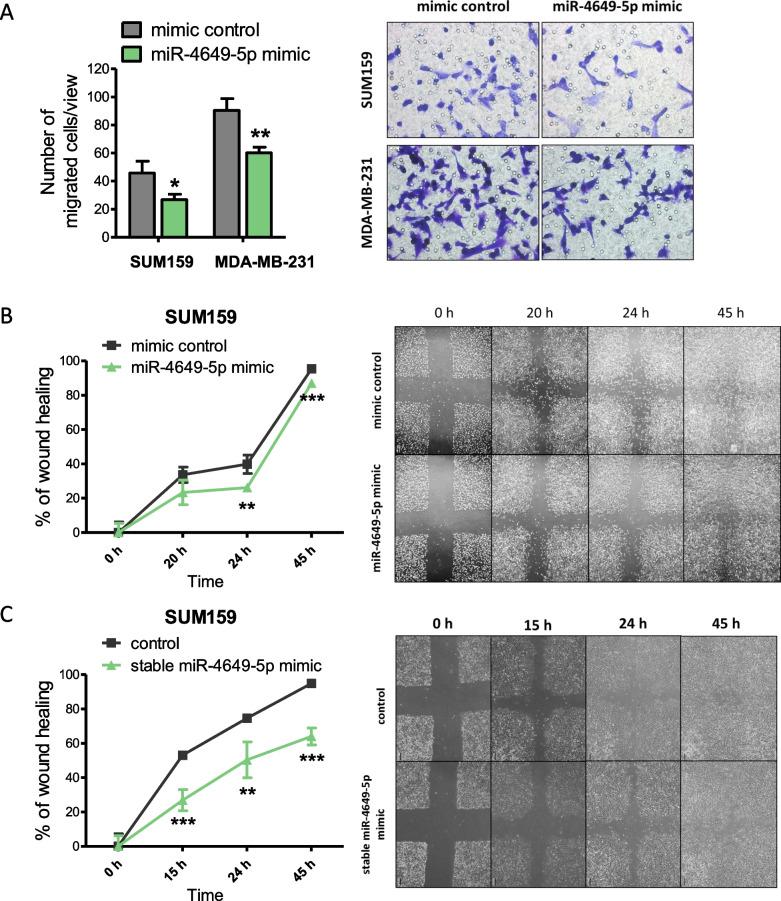 https://cdn.ncbi.nlm.nih.gov/pmc/blobs/2cc7/10559525/7d6e6ea94a2f/13058_2023_1716_Fig3_HTML.jpg