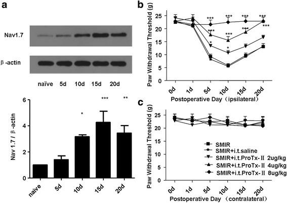 https://cdn.ncbi.nlm.nih.gov/pmc/blobs/2cc8/5678798/629cd6c2ab7e/12871_2017_438_Fig2_HTML.jpg
