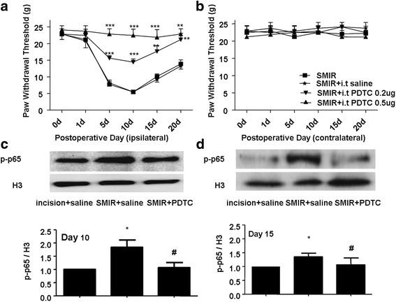 https://cdn.ncbi.nlm.nih.gov/pmc/blobs/2cc8/5678798/d9d80ef447ce/12871_2017_438_Fig4_HTML.jpg