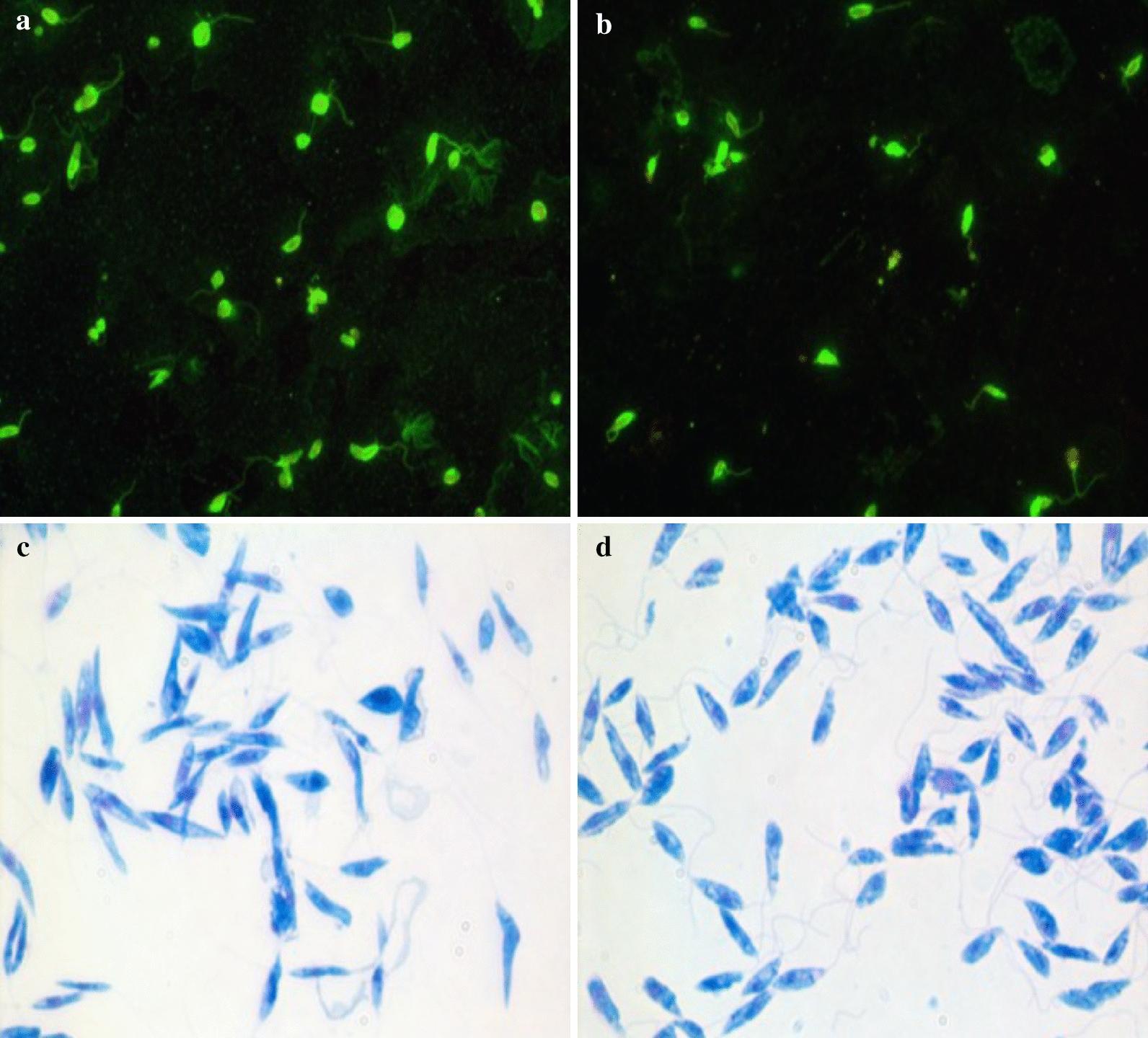 https://cdn.ncbi.nlm.nih.gov/pmc/blobs/2cc9/8425000/073746fe2db7/13071_2021_4973_Fig2_HTML.jpg