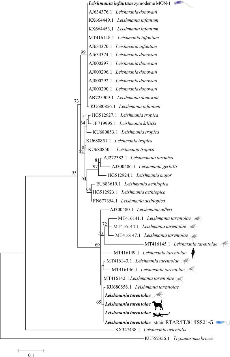 https://cdn.ncbi.nlm.nih.gov/pmc/blobs/2cc9/8425000/16199532a1ab/13071_2021_4973_Fig4_HTML.jpg