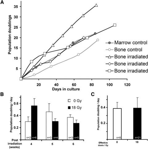 https://cdn.ncbi.nlm.nih.gov/pmc/blobs/2cca/3822856/8cf4e1eb88c1/jcmm0016-0877-f7.jpg