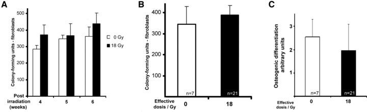 https://cdn.ncbi.nlm.nih.gov/pmc/blobs/2cca/3822856/c0cfdfccd8fc/jcmm0016-0877-f6.jpg
