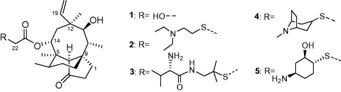 https://cdn.ncbi.nlm.nih.gov/pmc/blobs/2ccb/7993385/6237a3ed8c1d/IENZ_A_1900163_F0001_B.jpg