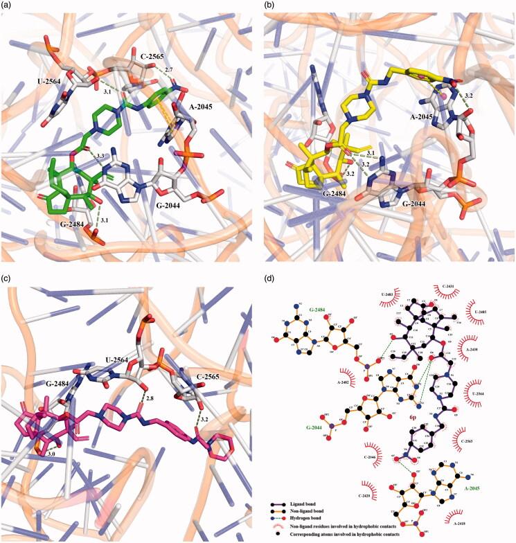 https://cdn.ncbi.nlm.nih.gov/pmc/blobs/2ccb/7993385/76b56ef8686b/IENZ_A_1900163_F0005_C.jpg