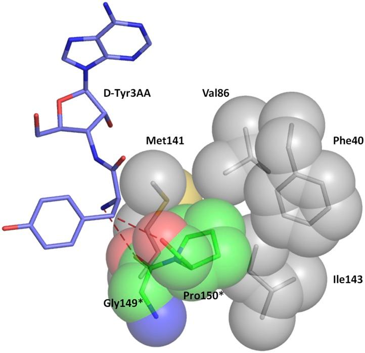 https://cdn.ncbi.nlm.nih.gov/pmc/blobs/2ccd/3845328/1bc341b7b9d6/elife01519fs012.jpg