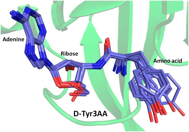 https://cdn.ncbi.nlm.nih.gov/pmc/blobs/2ccd/3845328/ba69ad7dce80/elife01519fs008.jpg