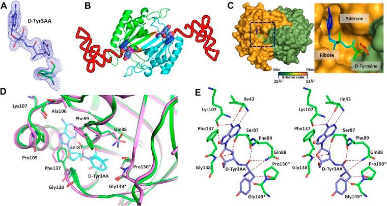 https://cdn.ncbi.nlm.nih.gov/pmc/blobs/2ccd/3845328/d8f5655c2d35/elife01519f002.jpg