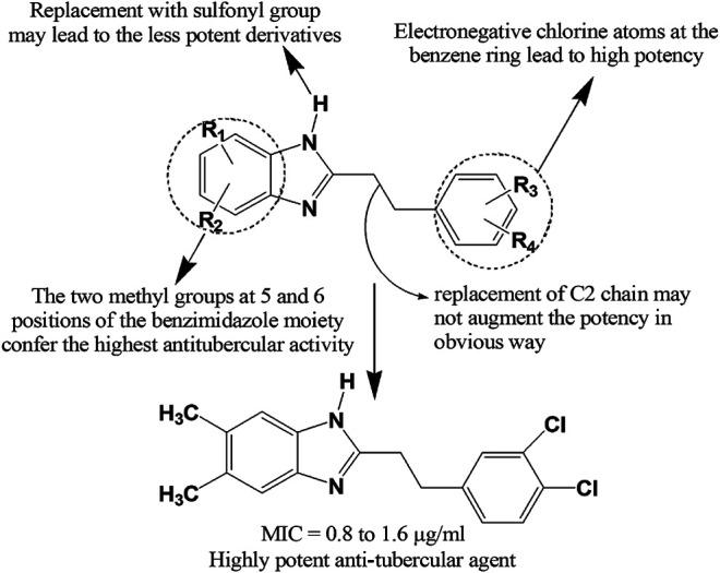 https://cdn.ncbi.nlm.nih.gov/pmc/blobs/2ccd/8597275/83185874cea9/fphar-12-762807-g013.jpg