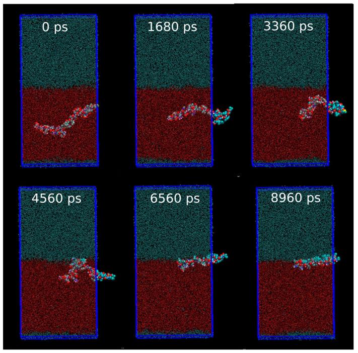 https://cdn.ncbi.nlm.nih.gov/pmc/blobs/2ccf/10303370/c73902fe862c/membranes-13-00584-g002.jpg