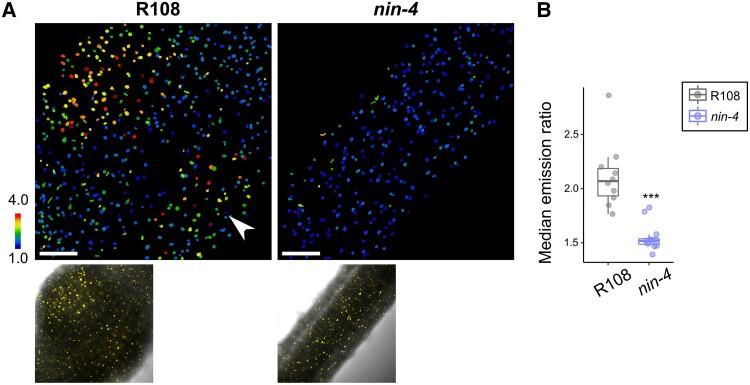 https://cdn.ncbi.nlm.nih.gov/pmc/blobs/2ccf/11449112/1f7d990bda21/koae201f4.jpg
