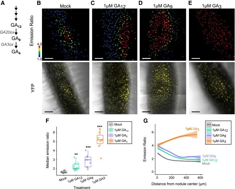 https://cdn.ncbi.nlm.nih.gov/pmc/blobs/2ccf/11449112/fb5e45812a7e/koae201f2.jpg