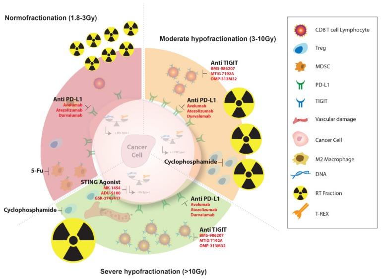 https://cdn.ncbi.nlm.nih.gov/pmc/blobs/2ccf/6627091/433e7120e9fe/cancers-11-00860-g003.jpg