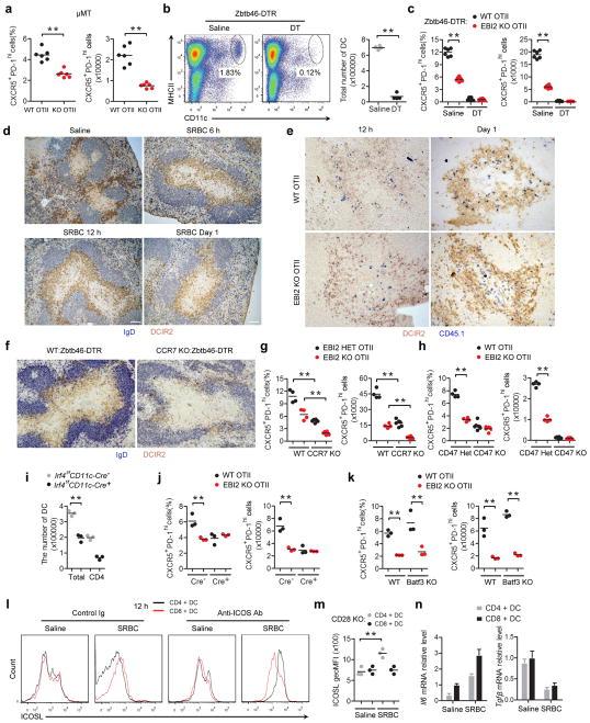 https://cdn.ncbi.nlm.nih.gov/pmc/blobs/2cd3/4883664/257a8763a6d2/nihms773750f8.jpg