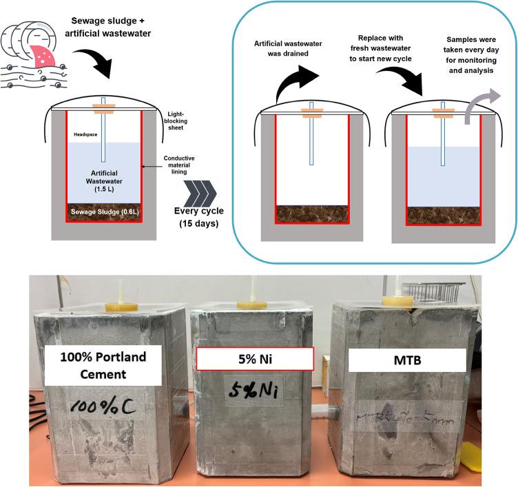 https://cdn.ncbi.nlm.nih.gov/pmc/blobs/2cd4/12216032/679d1b66ff24/41598_2025_6099_Fig1_HTML.jpg