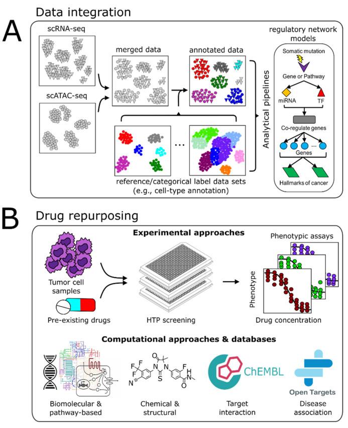 https://cdn.ncbi.nlm.nih.gov/pmc/blobs/2cd4/8269017/4b4bbef30189/cancers-13-03152-g002.jpg