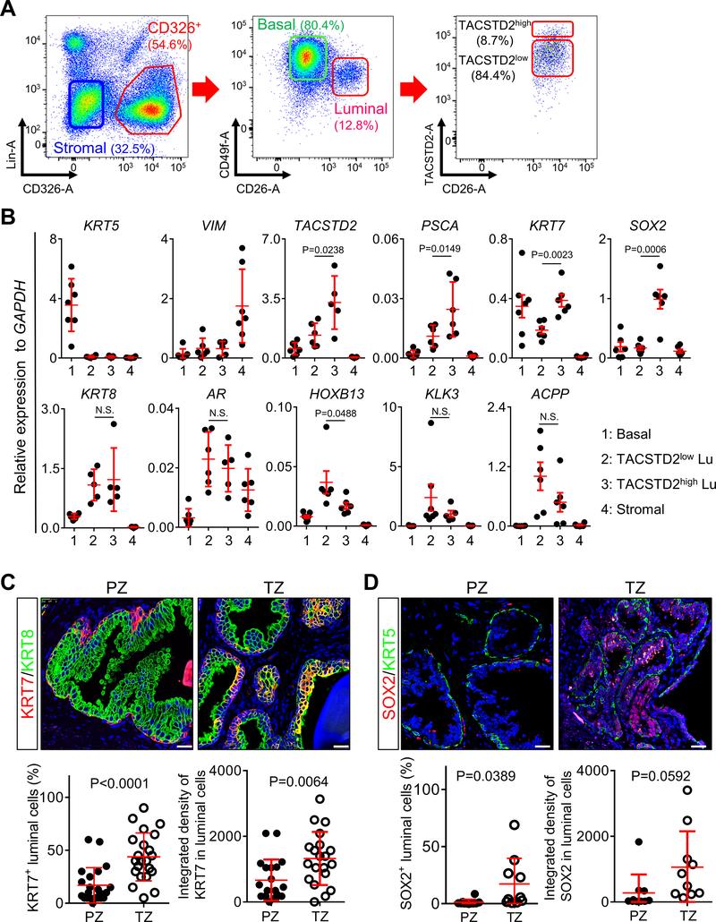 https://cdn.ncbi.nlm.nih.gov/pmc/blobs/2cd5/7704645/746e774e0e3b/nihms-1631489-f0001.jpg