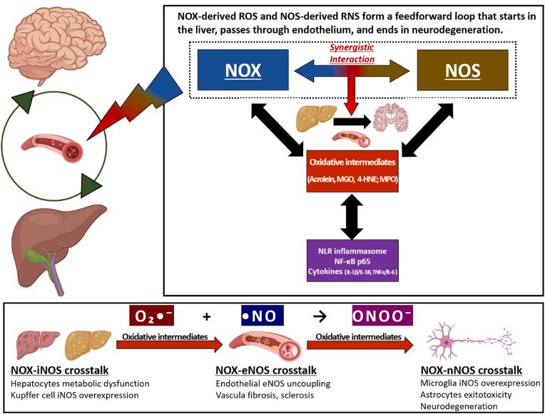 https://cdn.ncbi.nlm.nih.gov/pmc/blobs/2cd7/12356045/0aa4d32a872f/gr1.jpg