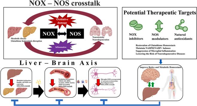 https://cdn.ncbi.nlm.nih.gov/pmc/blobs/2cd7/12356045/1cdaab6127ae/ga1.jpg