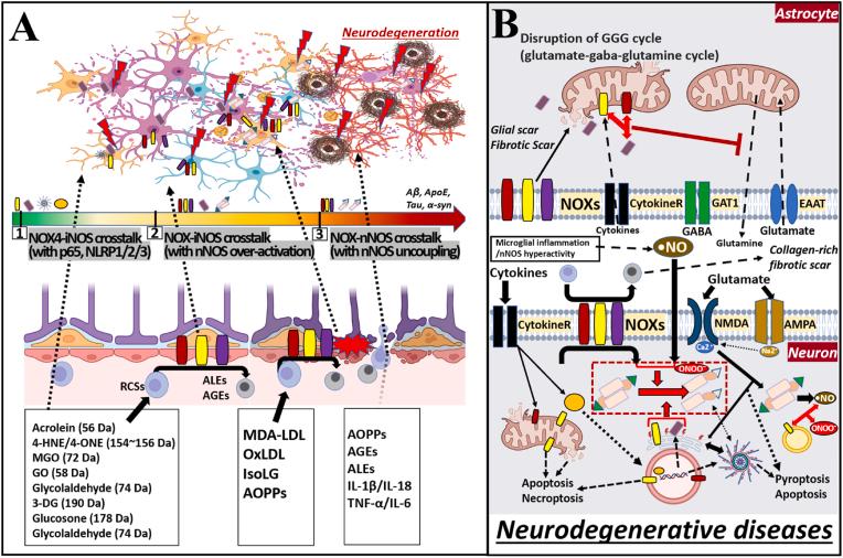 https://cdn.ncbi.nlm.nih.gov/pmc/blobs/2cd7/12356045/9162a50ea4d6/gr4.jpg