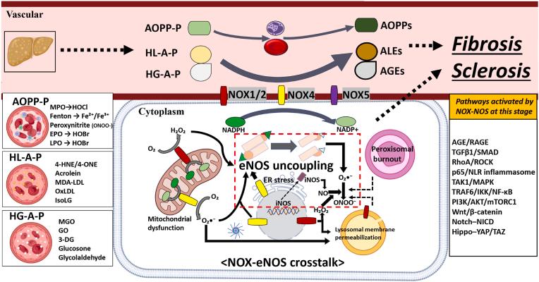 https://cdn.ncbi.nlm.nih.gov/pmc/blobs/2cd7/12356045/ca1bcae59ca1/gr3.jpg