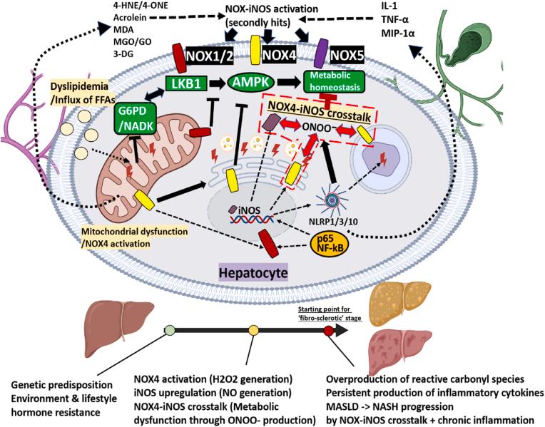 https://cdn.ncbi.nlm.nih.gov/pmc/blobs/2cd7/12356045/f6d8985346e6/gr2.jpg