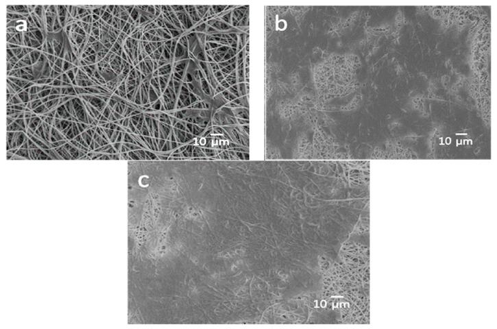 https://cdn.ncbi.nlm.nih.gov/pmc/blobs/2cd8/6523566/05997057b566/nanomaterials-09-00590-g028.jpg