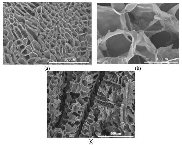 https://cdn.ncbi.nlm.nih.gov/pmc/blobs/2cd8/6523566/2677dbdea27c/nanomaterials-09-00590-g013.jpg