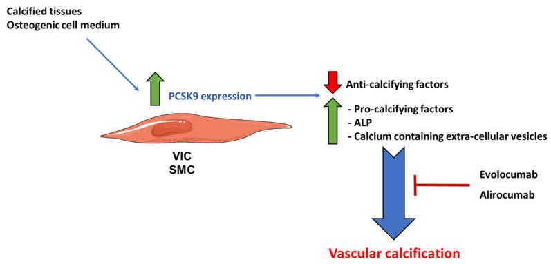 https://cdn.ncbi.nlm.nih.gov/pmc/blobs/2cda/10056669/0fd1c2dfda8f/metabolites-13-00457-g002.jpg