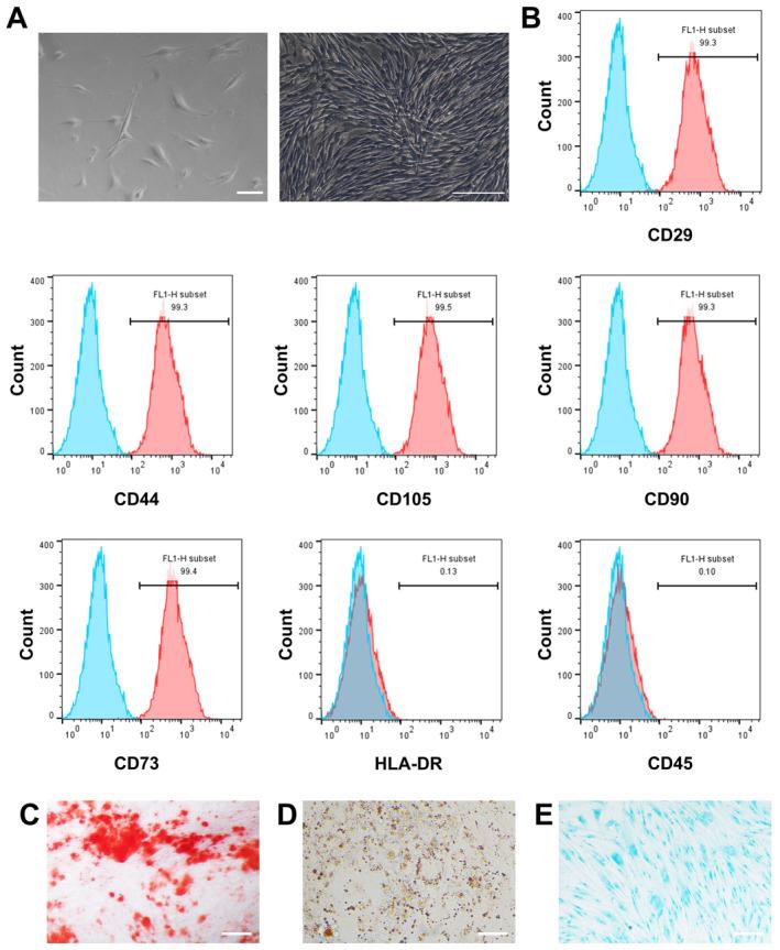 https://cdn.ncbi.nlm.nih.gov/pmc/blobs/2cda/11638885/0a790979eec4/CNS-30-e70163-g005.jpg