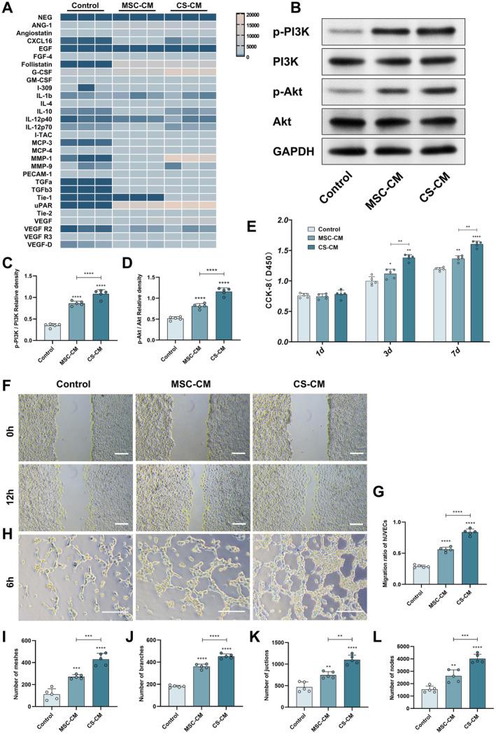 https://cdn.ncbi.nlm.nih.gov/pmc/blobs/2cda/11638885/677b6a29f8af/CNS-30-e70163-g007.jpg