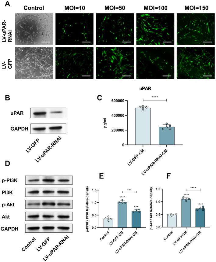 https://cdn.ncbi.nlm.nih.gov/pmc/blobs/2cda/11638885/91b0ff877ea9/CNS-30-e70163-g001.jpg