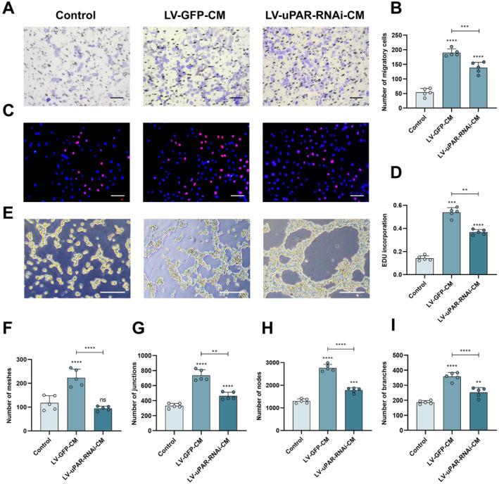 https://cdn.ncbi.nlm.nih.gov/pmc/blobs/2cda/11638885/de2f3378b30b/CNS-30-e70163-g002.jpg