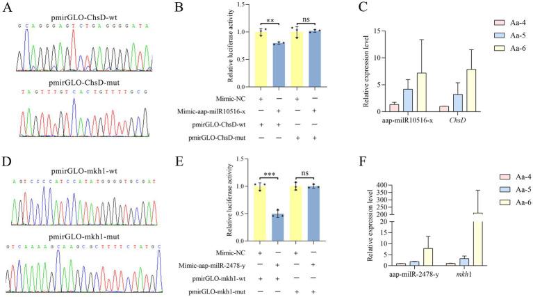 https://cdn.ncbi.nlm.nih.gov/pmc/blobs/2cdb/11914139/27dbdbe01bab/fmicb-16-1551625-g008.jpg