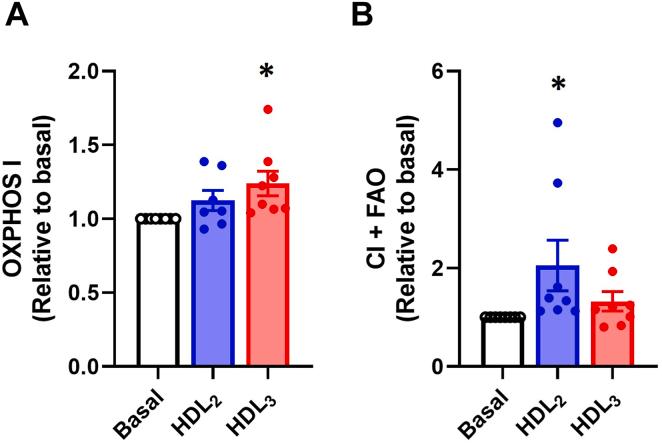 https://cdn.ncbi.nlm.nih.gov/pmc/blobs/2cdc/10770614/0c437956b19b/gr3.jpg