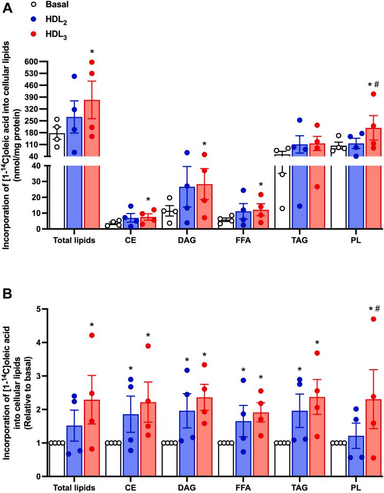 https://cdn.ncbi.nlm.nih.gov/pmc/blobs/2cdc/10770614/988bfabff72a/gr6.jpg