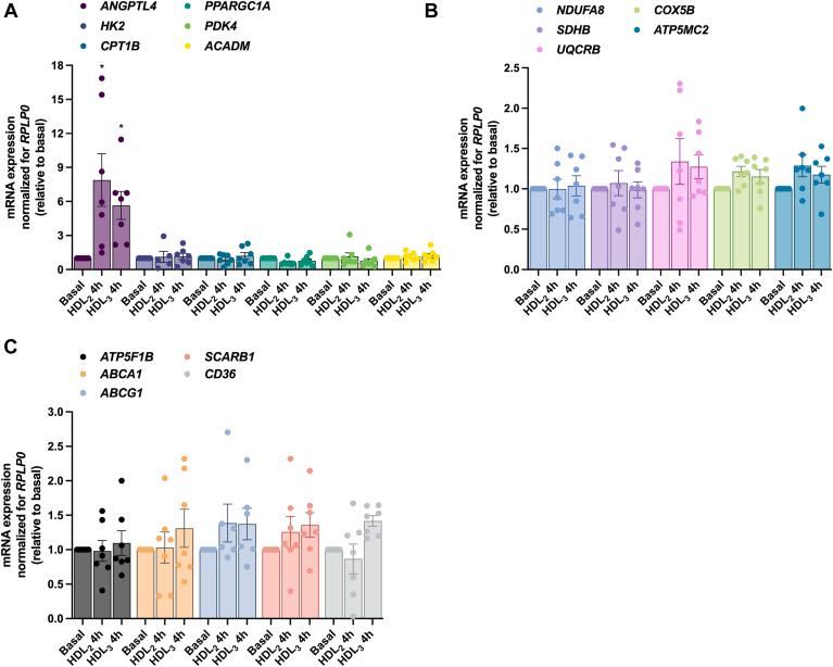 https://cdn.ncbi.nlm.nih.gov/pmc/blobs/2cdc/10770614/cd785476cc94/gr7.jpg