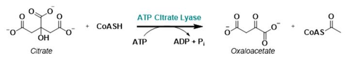 https://cdn.ncbi.nlm.nih.gov/pmc/blobs/2cdc/11085455/1071228a86da/molecules-29-02110-g007.jpg