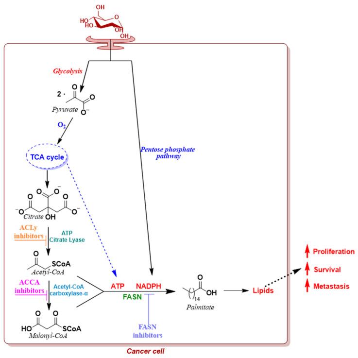 https://cdn.ncbi.nlm.nih.gov/pmc/blobs/2cdc/11085455/1c4544cbe3e4/molecules-29-02110-g004.jpg