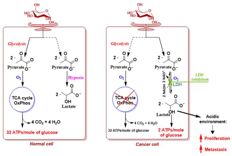 https://cdn.ncbi.nlm.nih.gov/pmc/blobs/2cdc/11085455/28110d4fed23/molecules-29-02110-g001.jpg