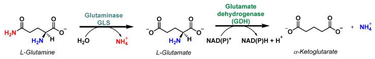 https://cdn.ncbi.nlm.nih.gov/pmc/blobs/2cdc/11085455/85094081b03d/molecules-29-02110-g011.jpg
